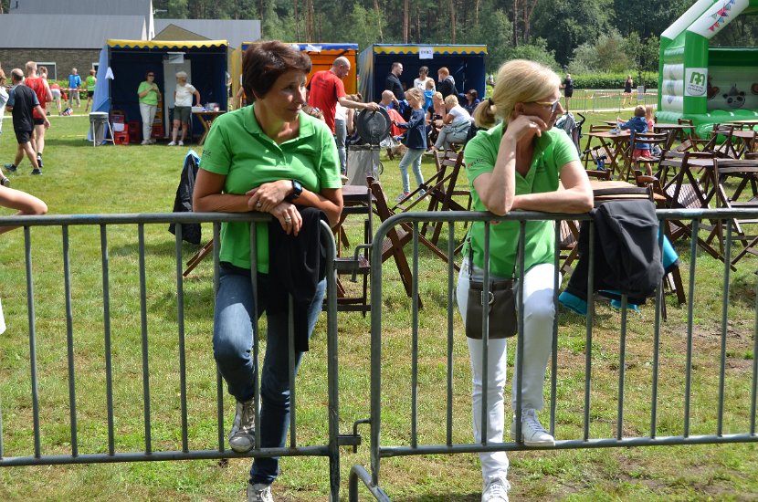 estafette deel 1 - 2017 - 313
